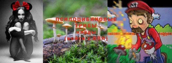 Альфа ПВП Волоколамск